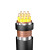 沈阳电线电缆有限公司-ZR-KVVP22-450/750V-10*1.5mm²国标铜芯阻燃控制屏蔽带铠电缆 1米