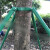 千惠侬镀锌钢管树木支撑架 金属铁抱箍固定器 园林绿化防风大树撑杆 3米绿色40管1.2mm厚支架