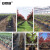 安赛瑞 控根育苗容器 植树快速控根容器绿化排水板 绿化养殖 厚0.7mm 0.6×50m 530891