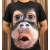 琉语霸气老虎T恤3D立体动物印花短袖T恤猴子头夏装男士大码猩猩衣服潮 短T双色猫 S