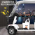 斯文达新款小巴士电动四轮车老年代步老人助力电瓶车家用接送孩子带棚 650W+裸车（无车棚/电池/充电器