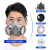 TLXT化学实验室全面罩喷漆化工防尘面罩防护罩工业专用打磨放毒氧气 6200双罐防尘面具