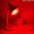 高校实验加热PHILIPS化验室科研250/375W烘干燥烤灯 飞利浦250W灯泡红光 100-300W