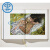 大8开TASCHEN原版Egon Schiele: Complete Paintings 1908-