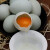 新鲜鸭蛋生鸭蛋农家散养 鸭蛋40枚 新鲜精选 30枚