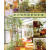 室内植物与景观制造 建筑 吴方林，何小唐 中国林业出版社 9787503829079