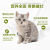 力狼蘑菇三文鱼肉猫粮低盐成猫幼猫通用型鱼味蓝猫英美短 力狼蘑菇系列全价猫粮1.5Kg 3袋(9斤)