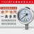 不锈钢压力表Y60BFYN60BF不锈钢耐震高温氨用上海仪民东 40mpa