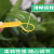 UOSU T型加厚插地PP标签 塑料园艺标签 植物标签插地记号牌绿植标牌 货期7-10天 香草白（100个） 10天