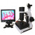 超高清xw880微循环检测观察仪甲襞末梢血管流速显微镜 9寸超清1200倍标配机