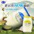 圣祥老北京酸奶蜂蜜味酸奶180g*12瓶 乳酸菌发酵特产短保顺丰