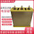 九肚BSMJWX0.45-30-3自愈式低压并联电力电容器 BSMJWX0.45-50-3