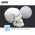 安赛瑞 人体头骨模型 颅骨模型 头骨带骨缝线数字模型 仿真人体头骨口腔颅骨教学模型 601524