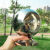 304不锈钢方形连体球方管球座空心圆球带底座38方50/60/80/100方 套100*100方管连体球白色304
