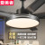 爱美者 吊扇灯客厅餐厅传统直叶风扇灯现代简约铁叶电风扇带吊灯一体 现 40大灯/45寸+变频遥控
