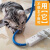 防猫咬线保护猫咪咬电线数据网线套收纳缠绕神器防老鼠包线管 10MM白色