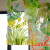 简梓pvc透明软膜 画画pvc透明软膜丙烯涂鸦环创绘画PVC透明膜胶片透 宽80厘米*长10米厚度0.5毫米多