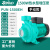 PUN铸铁热水循环泵空气能配套泵耐高温高扬程大流量增压泵 PUN-1500EH