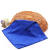 硕基 蓝色 30厘米*30厘米50条 清洁抹布百洁布 装修工作毛巾清洁抹布