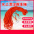 江波（JIANGBO）救生绳游泳绳子 救援安全绳漂浮水上救生圈浮索逃生绳 直径14毫米橘色普通30米