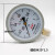 红旗 仪表普通压力表Y-100水压1.6MPa气压真空负压表油压 单位：个 0-0.6MPA