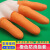 COFLYEE 橡胶防滑手指套橙色一次性防护手指头套加厚耐磨麻点乳胶指套 橙色小码 S