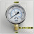历修定制YN60不锈钢耐震压表力液油水防震气1/4PT  M14*1.5 0-15MPA/150KG(螺纹1/4PT)