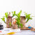 欧洲品质巴西木水养盆栽木格鲁特水培带发芽可幸运办公室内桌面好 粗7-8cm巴西木(不含盆)送液 可 不含盆