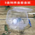 LZJV太空舱蚕宝宝宠物活体饲养箱透气手提透明级蚕卵小蚕大蚕使用 透明饲养盒10个