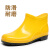 短筒雨靴白色靴低帮男女雨鞋卫生大码厨师鞋46 47 48 49 50码 黄色晴雨鞋 36