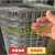 镀锌铁丝网围栏网养殖网防鼠养鸡护栏电焊网钢丝网铁网格网防护网 1米高2cm孔1.4mm粗17米 长