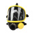 霍尼韦尔1710397 PANO呼吸器全面罩防雾防尘防毒异味工业用面罩 *1个