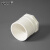 安赛瑞 PVC内丝直接（20个装）给水管件配件单内丝内螺内牙接头 白色 20mm 450056