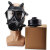 佳技达 防毒全面罩 全面式 1个 防毒面具+白支架+滤毒罐（Z-B-P2-2）+迷彩包 