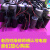 浙江双峰电容电机启动运行电容器 全系列  保证质量 55VF-450V 尺寸50*100