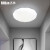 洛林(ROLin）LED灯吸顶灯客厅卧室灯具书房餐厅灯具厨房灯饰 晶钻36w白光