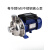 WB200-400/110/150/185-P不锈钢离心泵清洗冲洗设备医药水 WB200/110D-P 220V