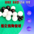 滚珠Si3N4G5氮化硅陶瓷球0.8/1.0/1.2/1.5/1.588/2.0/2.381/2.5 3.0白色氧化锆