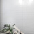 远晶瓷砖 300x600北欧风凹凸暗格子墙砖 简约百搭厨房卫生间瓷砖浴室洗手间厕所墙砖 8801 300x600