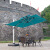 天鼎篷艺院子遮阳伞罗马伞 3*3米方形带灯+60KG大理石底座 卡其色