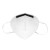 霍尼韦尔（Honeywell）KN95口罩 耳带折叠式10只/包 防雾霾 防工业粉尘H910Plus