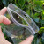 塑料pvc透明防水袋自封口挂牌套园林树木品名物料标识卡吊牌室外 特大号横款