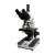 BM上海彼爱姆生物显微镜XSP-BM-8CA（三目）