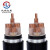 沈缆红星 电缆线YJV22-0.6/1kV-5*16平方5芯国标铠装铜芯电力电缆 硬线 1米