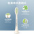  飞利浦(PHILIPS) 电动牙刷声波震动牙刷 情侣牙刷5效 五种模式 HX2471/03 瑞斯白