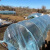 萌依儿（Mengyier）20根蔬菜大棚支架 玻璃纤维小拱棚保温暖棚花棚遮阳防虫大棚的 Q3910根 8MM直径4米长