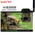 4G红外相机野保相机高清夜视感应动物监测感应夜视远程手机直播 64G套装