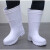 EVA超轻泡沫雨靴卫生靴厨房耐油耐磨高筒靴子防滑水鞋酒店后厨家 EVA白色水靴 39-40