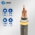 华实（HUASHI） YJV22 2*4mm² 国标铜芯低压电缆 1米