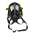 霍尼韦尔1710397 PANO呼吸器全面罩防雾防尘防毒异味工业用面罩 *1个